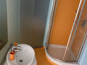 Prodej ubytování, Frýdlant nad Ostravicí, Harcovská, 500 m2