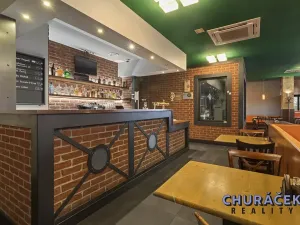 Prodej komerční nemovitosti, Praha - Troja, Olštýnská, 378 m2