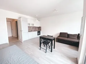 Pronájem bytu 1+kk, Praha - Žižkov, Olgy Havlové, 45 m2
