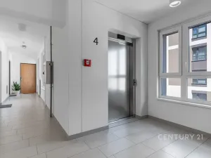 Prodej bytu 4+kk, Praha - Žižkov, Olgy Havlové, 100 m2