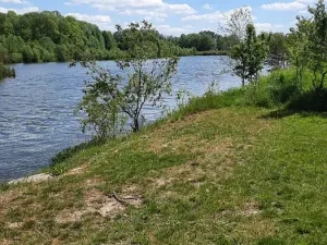Prodej rybníku, Bulhary, 350 m2
