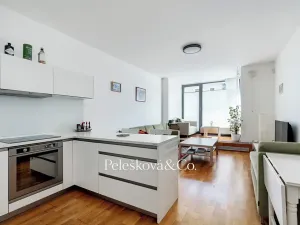 Prodej bytu 2+kk, Praha - Smíchov, Švédská, 65 m2