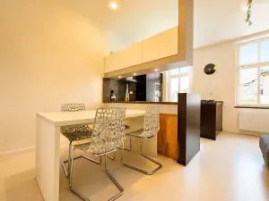 Pronájem bytu 3+1, Brno, Gorkého, 112 m2