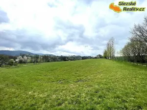 Pronájem bytu 3+kk, Janovice, 74 m2