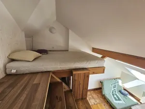 Pronájem bytu 1+1, Praha - Žižkov, Rokycanova, 41 m2