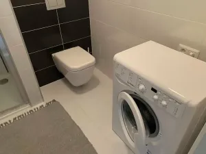 Pronájem bytu 1+kk, Praha - Dejvice, Lindleyova, 36 m2