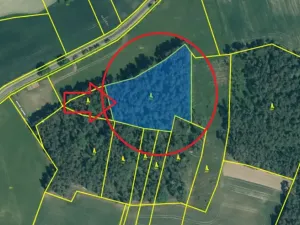 Prodej podílu lesa, Svéradice, 2590 m2