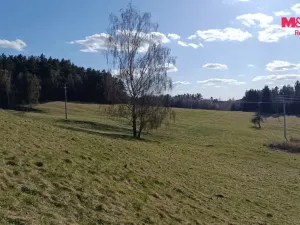 Prodej louky, Janův Důl, 2749 m2