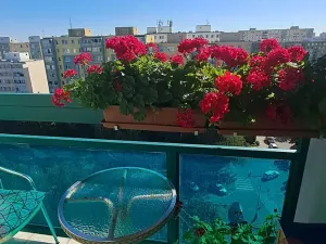 Prodej bytu 3+1, Praha - Chodov, Valentova, 63 m2