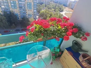Prodej bytu 3+1, Praha - Chodov, Valentova, 63 m2