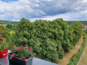 Pronájem bytu 1+kk, Brno, Wágnerova, 35 m2