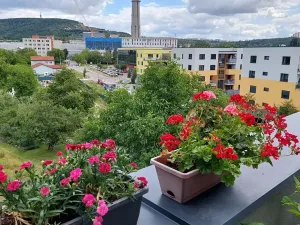 Pronájem bytu 1+kk, Brno, Wágnerova, 35 m2