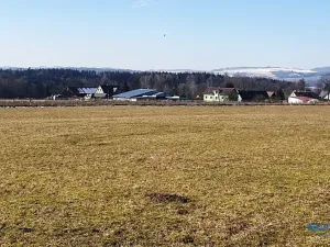 Prodej louky, Police nad Metují, 2200 m2