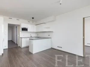 Pronájem bytu 2+kk, Praha - Libeň, Kurta Konráda, 52 m2