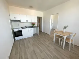 Pronájem bytu 1+1, Litvínov, Valdštejnská, 37 m2