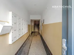 Prodej bytu 2+kk, Praha - Žižkov, Hartigova, 49 m2