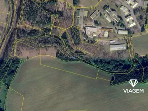 Prodej podílu lesa, Těchonín, 26 m2