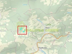 Prodej lesa, Pozděchov, 36934 m2