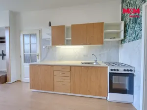 Pronájem bytu 2+kk, Plzeň - Východní Předměstí, Slovanská, 45 m2