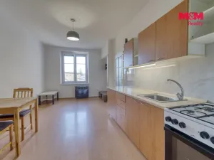Pronájem bytu 2+kk, Plzeň - Východní Předměstí, Slovanská, 45 m2