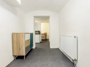 Prodej obchodního prostoru, České Budějovice, 66 m2