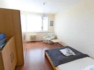 Prodej bytu 3+1, Plzeň, Heyrovského, 76 m2