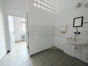 Pronájem kanceláře, České Budějovice, Kanovnická, 210 m2