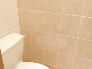 Pronájem bytu 4+1, Louny, Petra Obrovce, 82 m2