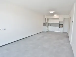Pronájem bytu 2+kk, Olomouc, Andělská, 67 m2