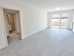 Pronájem bytu 2+kk, Olomouc, Andělská, 67 m2