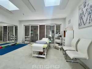 Pronájem komerční nemovitosti, Brno, Skopalíkova, 60 m2