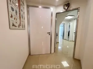 Pronájem komerční nemovitosti, Brno, Skopalíkova, 60 m2