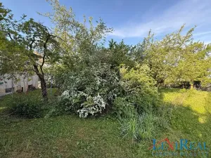 Prodej rodinného domu, Církvice, 250 m2
