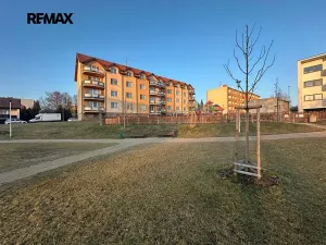 Pronájem bytu 2+1, Kralovice, Na Palcátech, 72 m2