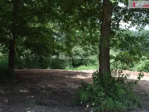 Prodej zahrady, Mukařov, 1560 m2