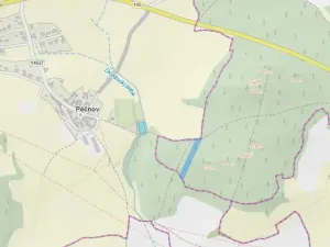 Prodej lesa, Chlumany, 4406 m2