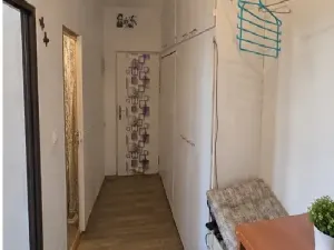 Prodej bytu 2+1, Orlová, Lesní, 56 m2