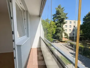Pronájem bytu 2+1, Brno, Lipská, 55 m2
