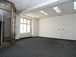 Pronájem obchodního prostoru, Praha - Žižkov, Hájkova, 60 m2