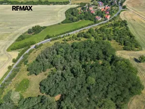 Prodej zahrady, Zvíkovec, 16882 m2