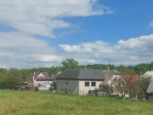 Prodej rodinného domu, Vojkovice, 120 m2