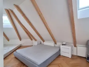 Pronájem bytu 2+1, Praha - Karlín, Březinova, 90 m2