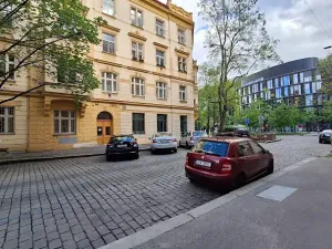 Pronájem bytu 2+1, Praha - Karlín, Březinova, 90 m2
