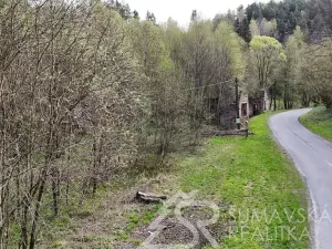 Prodej komerční, Rejštejn, Náměstí Svobody, 10000 m2