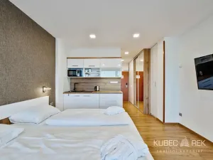 Prodej bytu 1+kk, Frymburk, 30 m2