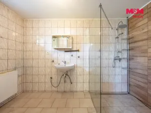 Prodej rodinného domu, Velké Albrechtice, 215 m2