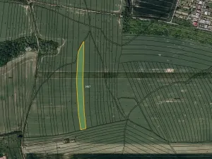 Prodej pole, Osvětimany, 4331 m2