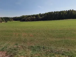 Prodej pozemku pro bydlení, Turovec, 1116 m2