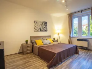 Prodej bytu 2+kk, Praha - Žižkov, Jana Želivského, 56 m2