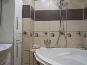 Prodej bytu 2+kk, Praha - Žižkov, Jana Želivského, 56 m2
